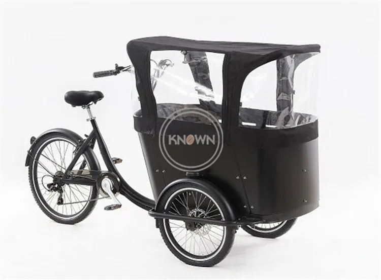 electric bike cart