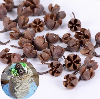 

100pcs Dried Plant Fruits For Wedding Party Holiday Candy Boxes Bag Venue Decoration Craft DIY Accessory