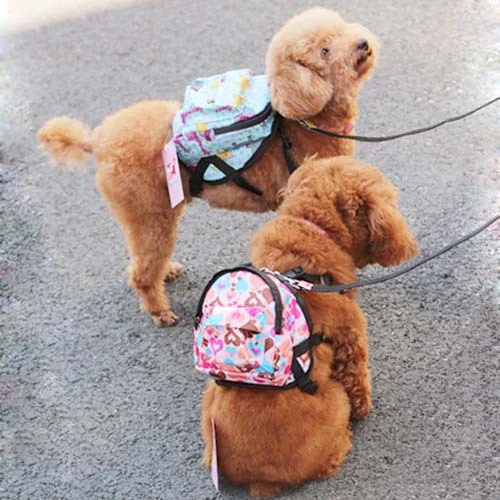 pink dog backpack
