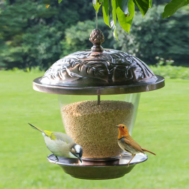 high desert schnauzers