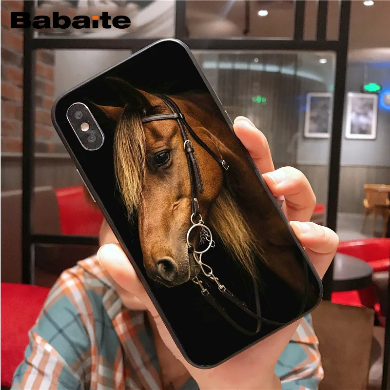 Frederik The Great beauty horse