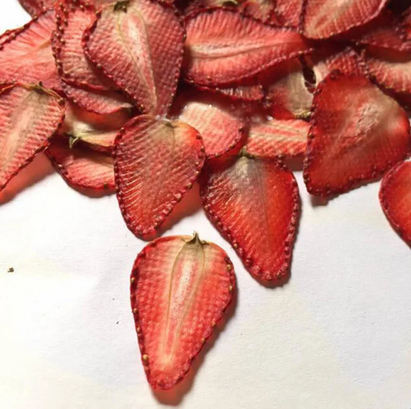 

5pcs Pressed Dried Strawberry Slices Fruit Plant Herbarium For Jewelry Postcard Invitation Card Phone Case Bookmark Making DIY