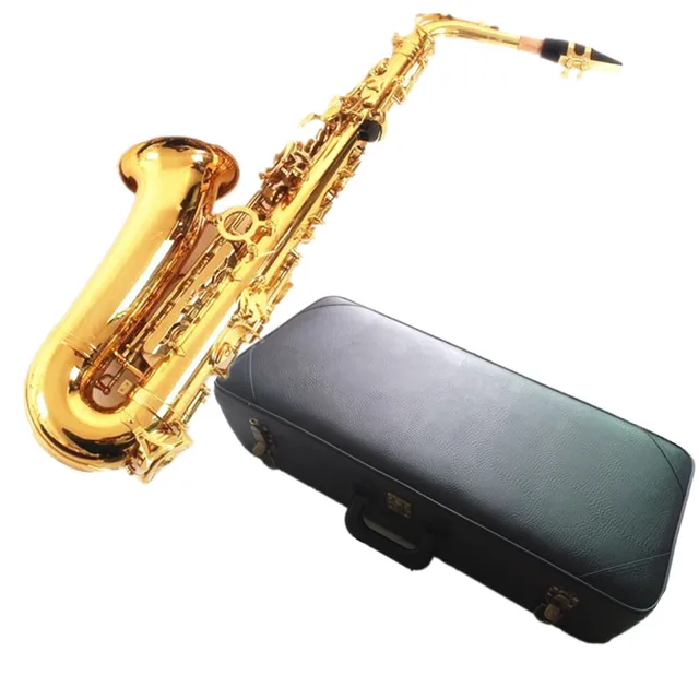 Cheap mma Hot SALE France flat sax alto saxophone R54 Alto E Flat musical instruments professional E Leather case Free shipping