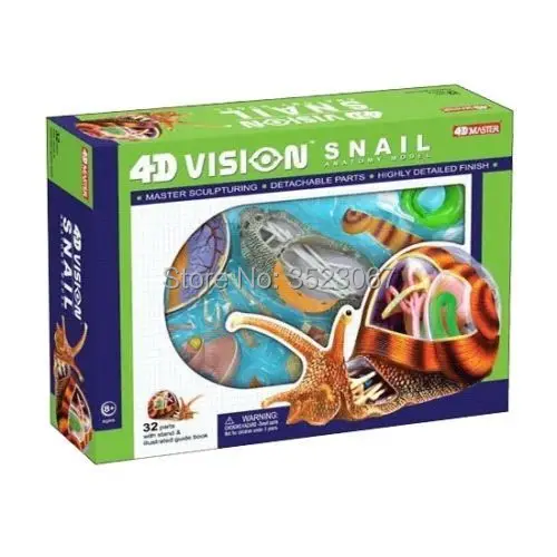 

Anatomical Medical 4D Vision Snail Anatomy Model 8 inch Long Model with 32 detachable parts stand (Age 8+)