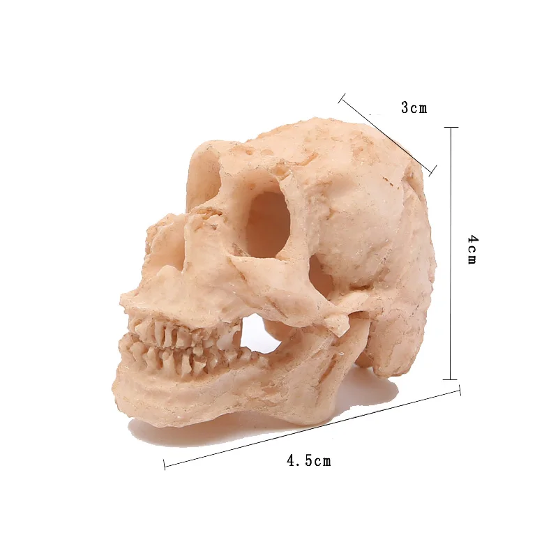 Аквариумный Аквариум Украшение Череп Смола скульптура статуя скелет модель аквариума украшения Водная трава Ландшафтный Декор