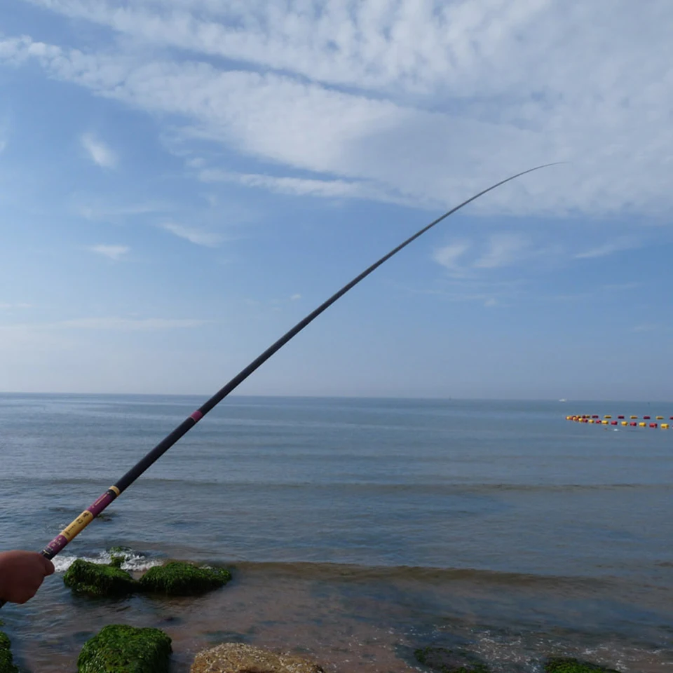 long fishing pole