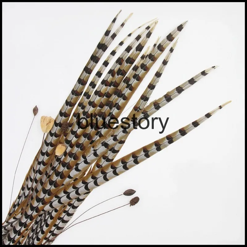 

Free shipping!1pcs Pheasant feather 120-130cm Syrmaticuspheasant tail Feathers for Performance,Partys