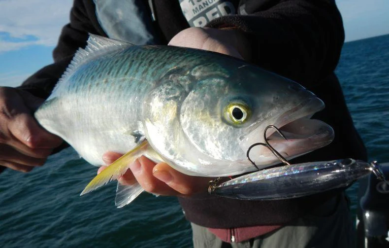 Trulinoya 10 г 9 см 3D глаза Плавающий Гольян жесткая приманка для рыбалки кренкбейт искусственная Рыбалка