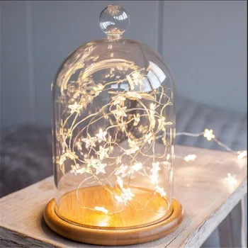 

Factory Sales 2M String LED Lights Decoration Fairy Light Battery Operated Waterproof Star Copper Wire Lamp Indoor Outdoor Chris