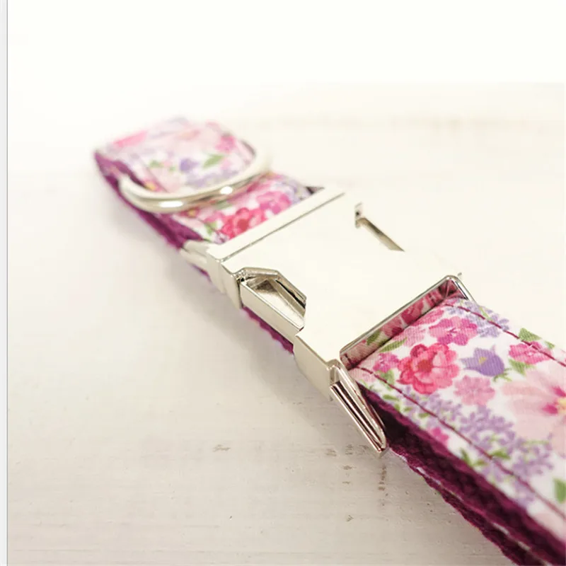 Pet Dog Collar and Leash (34)