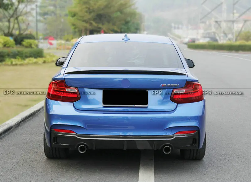 F22 EXOT Style Rear Diffuser(1)_1