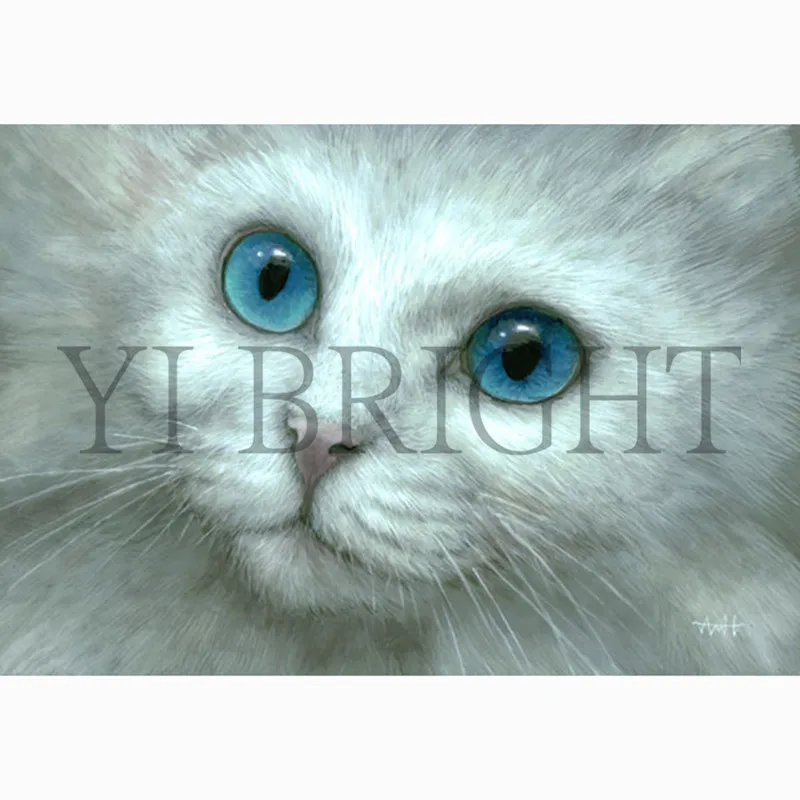 Sky Blue Eyes 