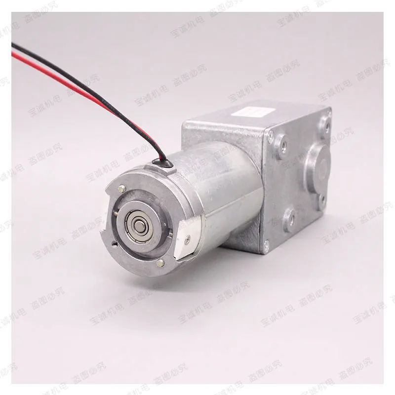 

JSX Large Torque Turbine Worm Reduction Motor DC 12V 24V