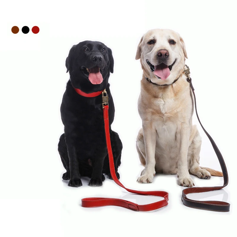 Buy Super Quality Genuine Leather Dog Leash for Medium Large Dogs Durable