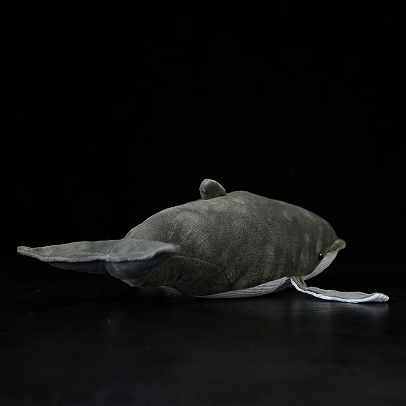 TB2IMIMf25TBuNjSspmXXaDRVXa_!!22080261