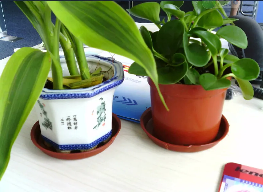 5mp autofocus picture2