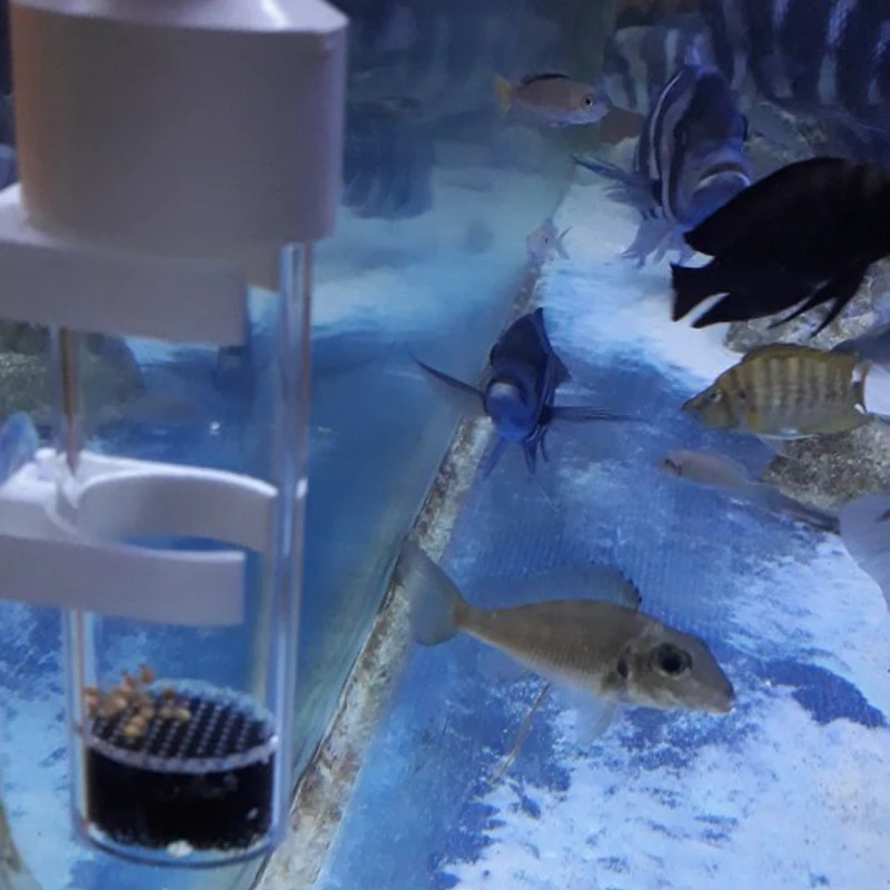 Горячие рыбы инкубатор стакан аквариум рыбоводства цихлид вместо рот заводчик