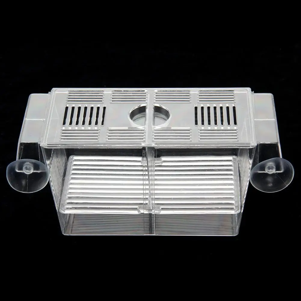 Buy AsyPets Aquarium Hatchery Trap Fish Breeding
