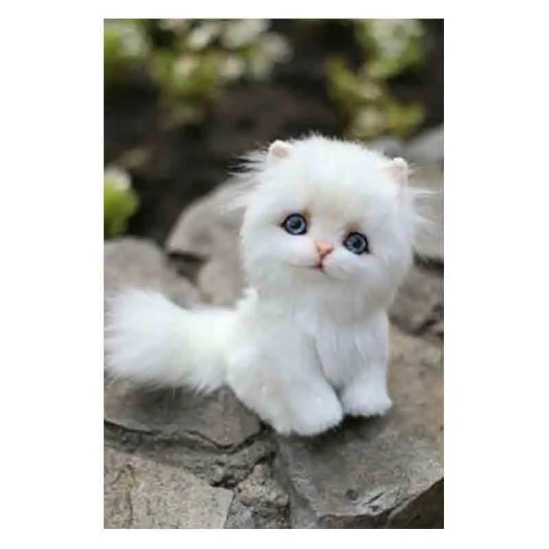 ac15f1a7cb88fbbfeb0f141d3142ec0c