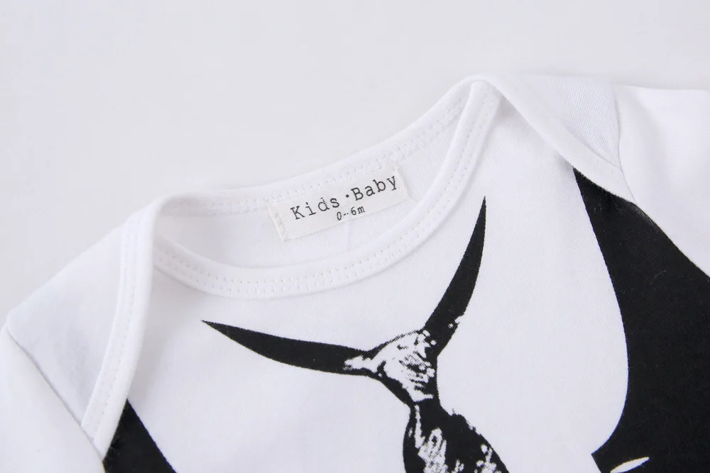 3540625588_1727784565