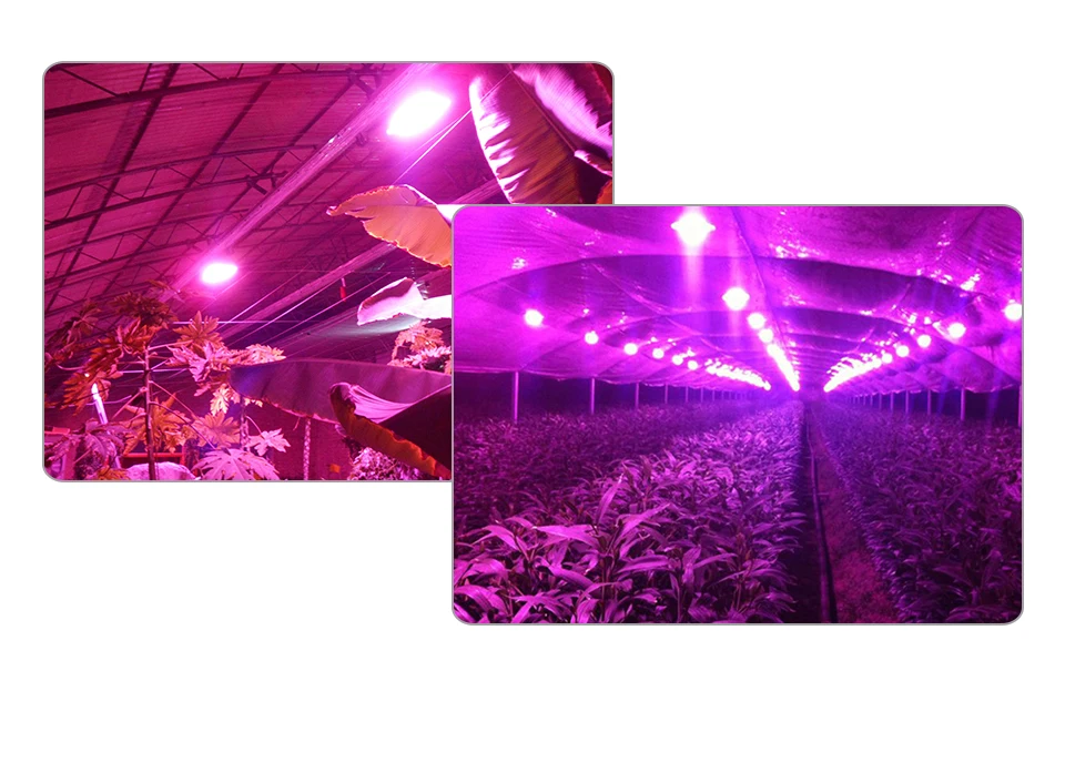 led grow cob chip (8)