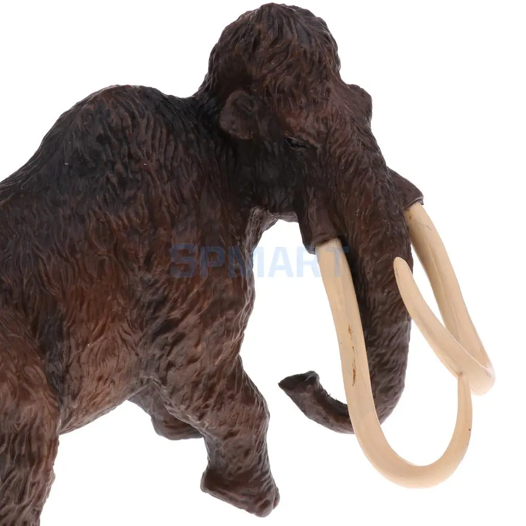 Simulation Wildlife Farm Pet Animal Model Action Figures Figurine Kid Educational Science Nature Toy Home Collectible Decoration