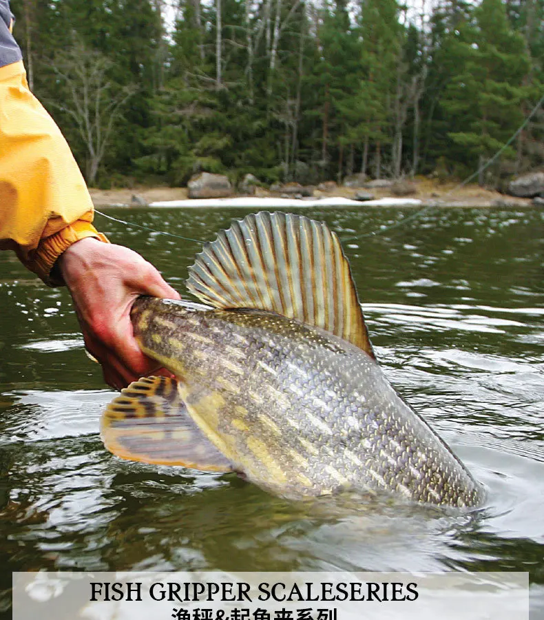 Rapala MFG25 Макс 25 кг рыба механические весы Рыба Клип приманка рыболовный инструмент корпус из алюминиевого сплава мягкая ручка