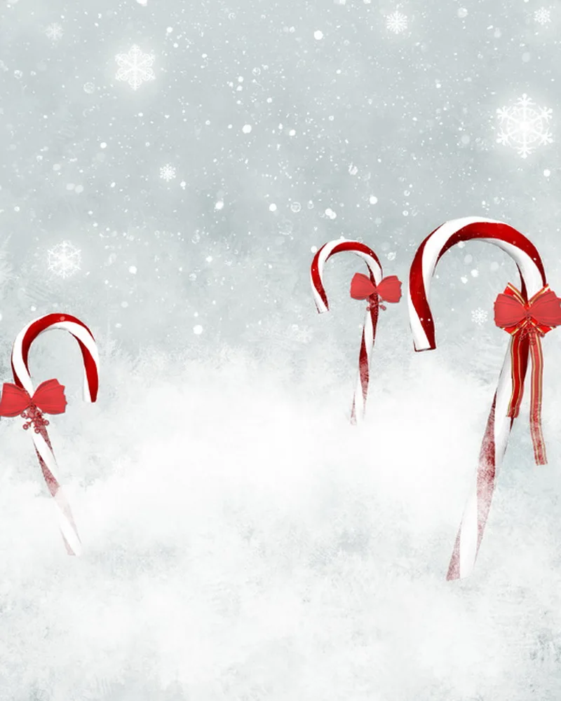 

Christmas photography backdrops christmas holiday vinyl photoshoot background for studio birth party photo backdrop XT-2569