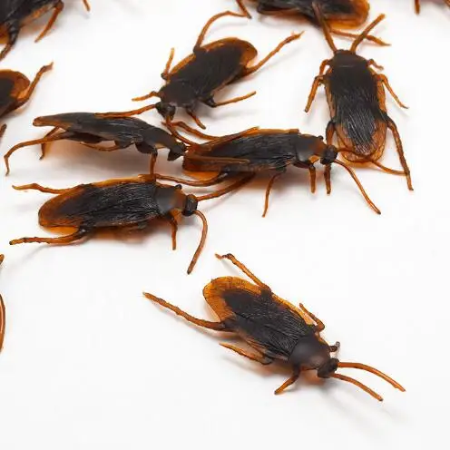

12pcs Funny Fake Cockroach Halloween Decoration Terror Jokes Pranks Maker Fun Novelty Tricks Simulation False Cockroach Toys