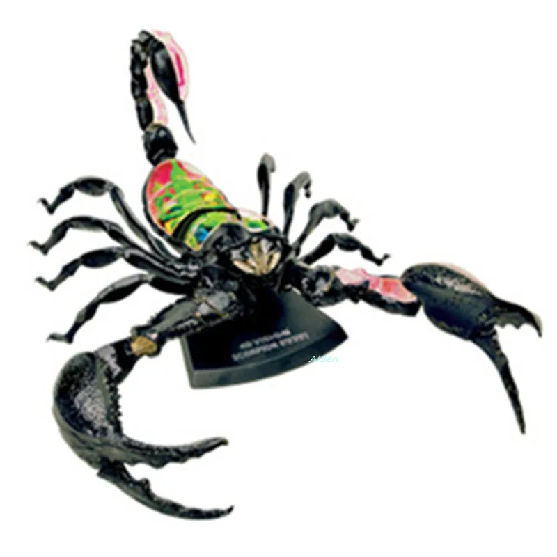 

4D XXRAY Medical Teaching BFF Of The Organ Anatomy BRIAN Original Fake Plastic Street Art Action Figure Toy BOX 33CM Z1506