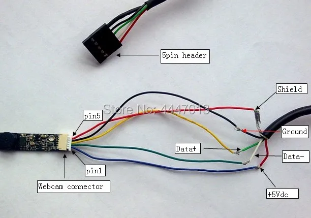 pin assignment