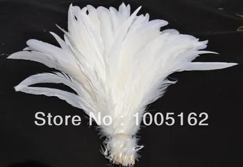 

Free Shipping 100 pcs per lot 12-14inch(30-35cm) White Coque Rooster Tail Feathers loose Rooster Tail feather for Costume