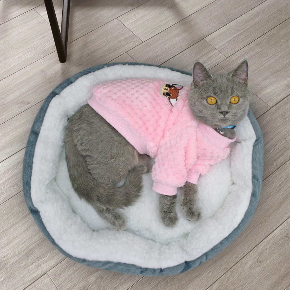 Köpek kazağı