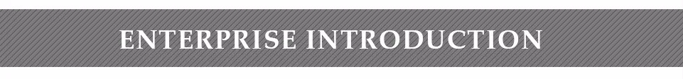 Company Profile 01
