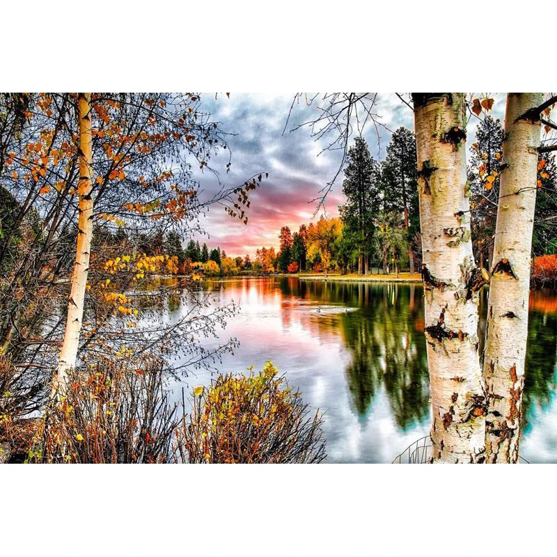 

5D DIY Diamond Painting Sunset Landscape Forest Tree Needlework Home Decorative Full Square Diamond Embroidery NMX 20:30