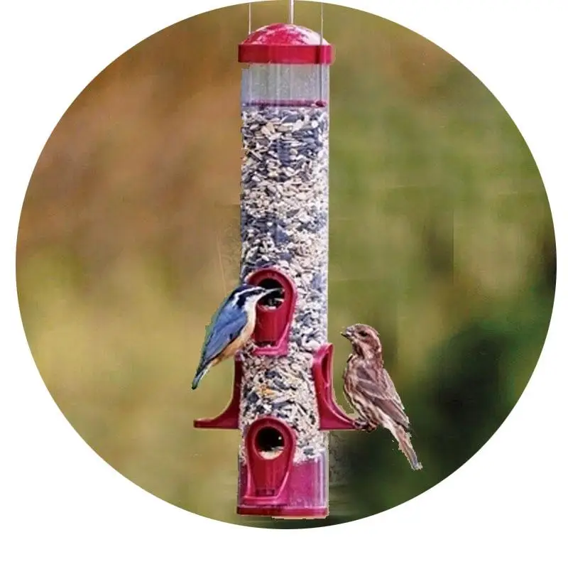 

European style wild bird feeder Outdoor bird feeders food container