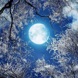 Beibehang Ultra HD круглая луна лес снега ночного неба потолок Зенит картина на заказ большой Настенные обои