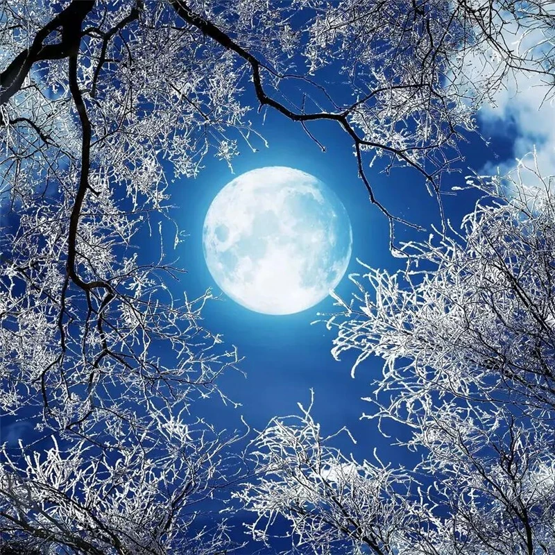 Wellyu Ultra Hd Round Moon Forest Snow Scene Sky Night Sky Night