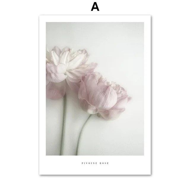 HTB1qbGTmbZnBKNjSZFKq6AGOVXaq