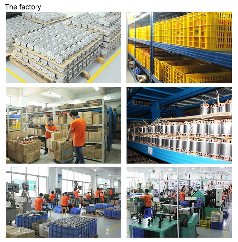 Micor DCB-SD DD (7)