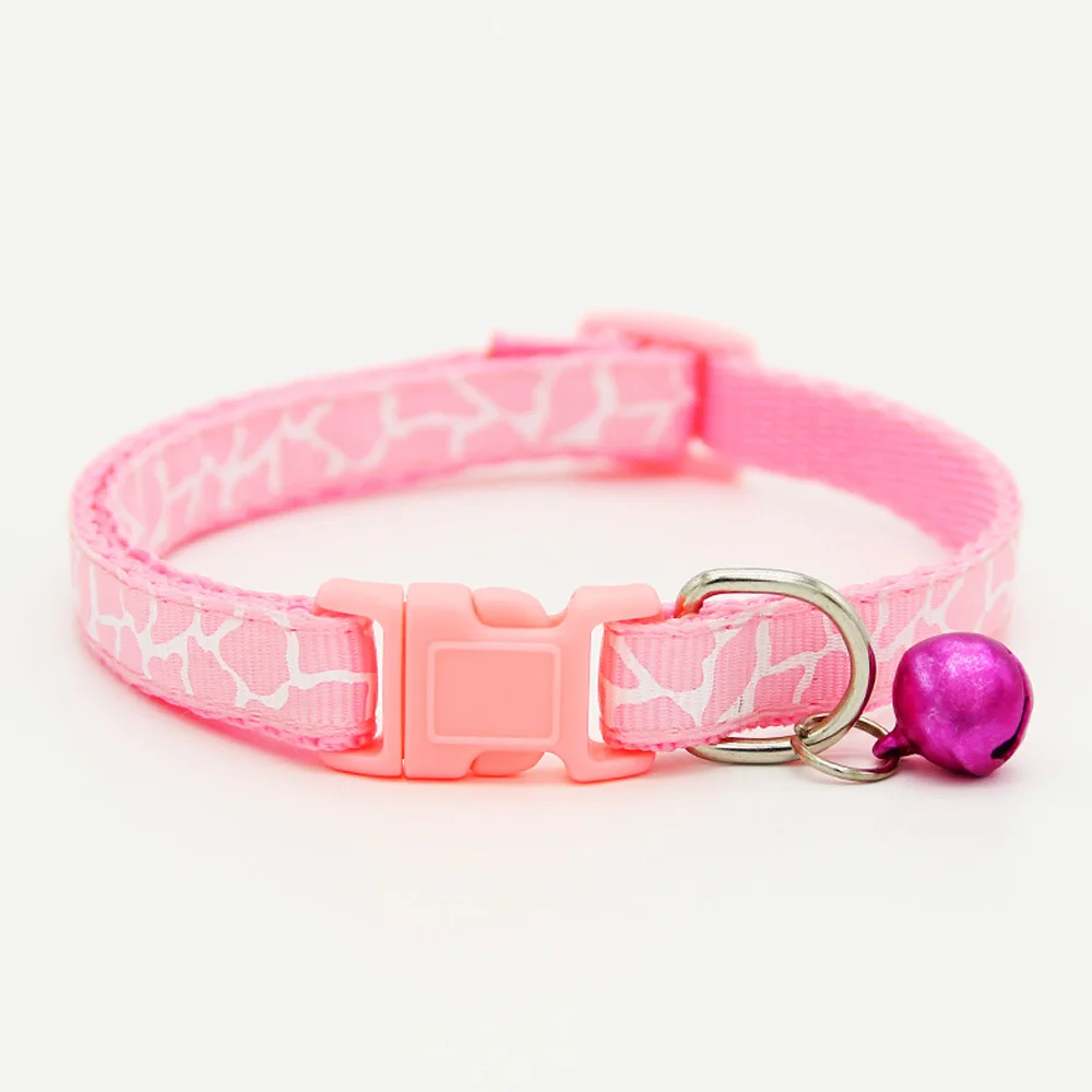 3237809823_1295703088