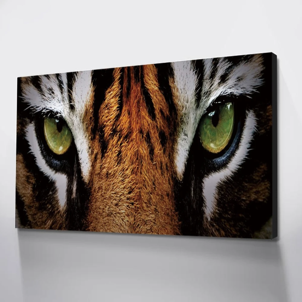 Tiger Eyes Painting