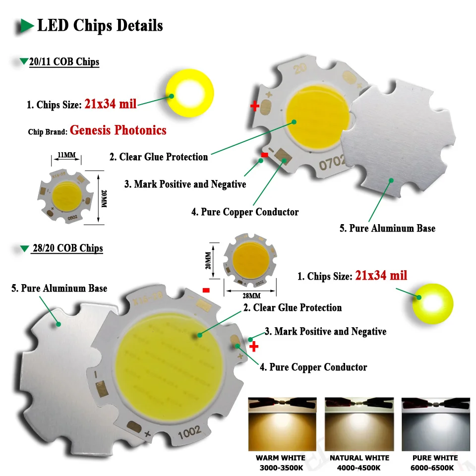 D-2820-COB--022222