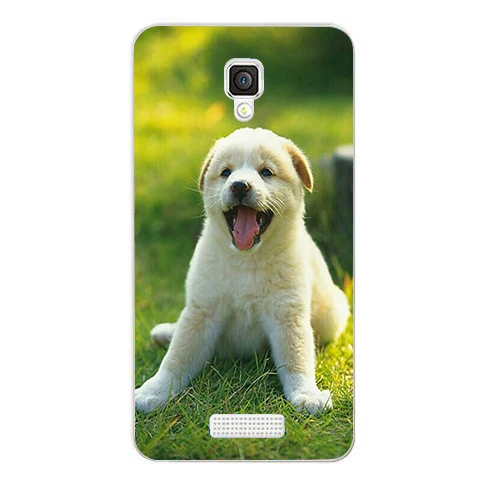 

Luxury Painting Coque Cover For Lenovo A2010 Colorful Cute Drawing Phone Shell Back cover Thin Protector Case For Lenovo A2010
