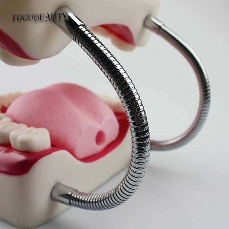 Modelo de Ensino Dental a Apresentação de Alta Tdoubeauty Seis Vezes Ampliação Boca Cheia Modelo Dente Qualidade Frete Grátis 11 dente modelo de ensino dental a apresentação