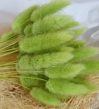 H671 20 шт натуральный кроличий хвост трава сушеные цветы красочные декоративные искусственные цветы - Цвет: green