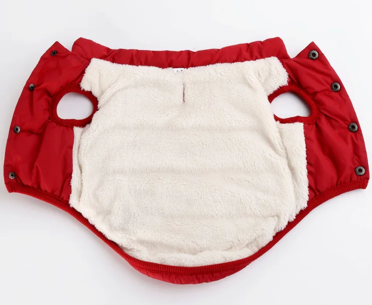 3613109773_1954311762