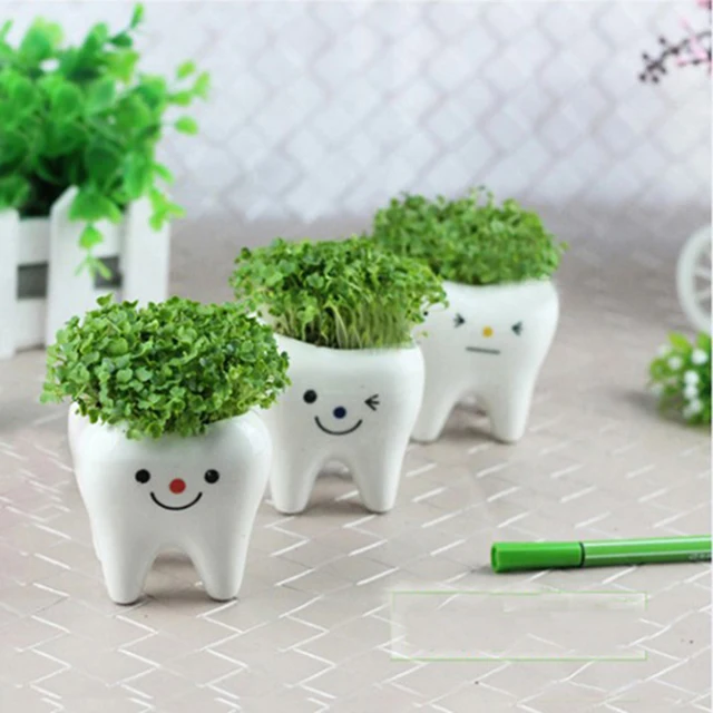 3 Pcs Contracted Creative Mini Teeth Flower Pots Planters Ceramic 3 Pcs Contracted Creative Mini Teeth Flower Pots Planters Ceramic White Hydroponics Garden Pot Herb