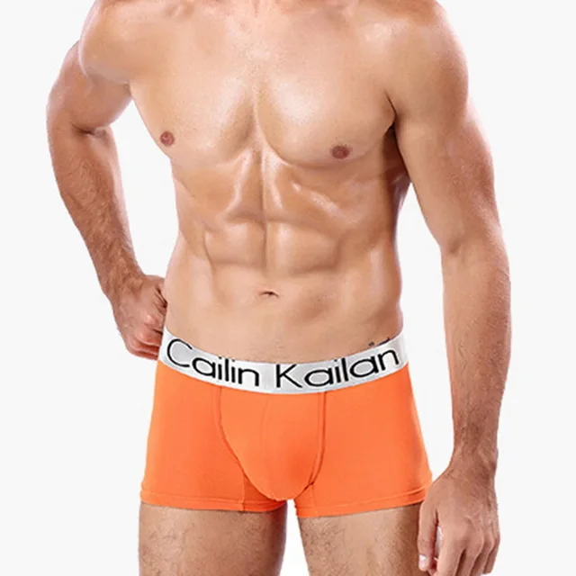 NIBESSER-Modal-Underwear-Men-s-Boxers-Breathable-Quick-Dry-Boxer-Man-Underwear-Cueca-Boxer-Men-Panties.jpg_640x640 (4)