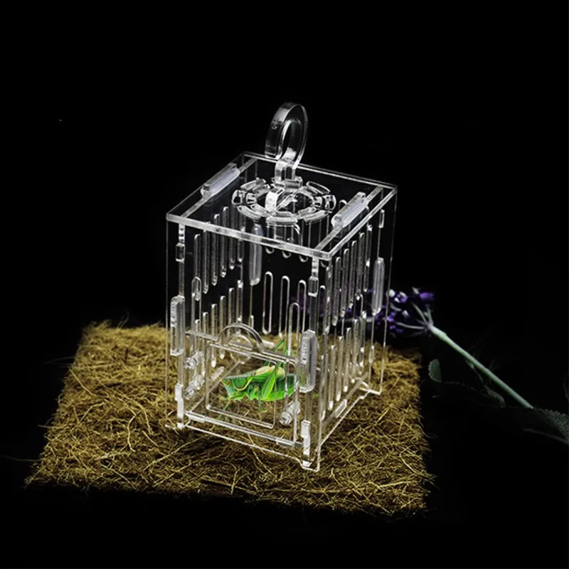 Cockroach cage (3)
